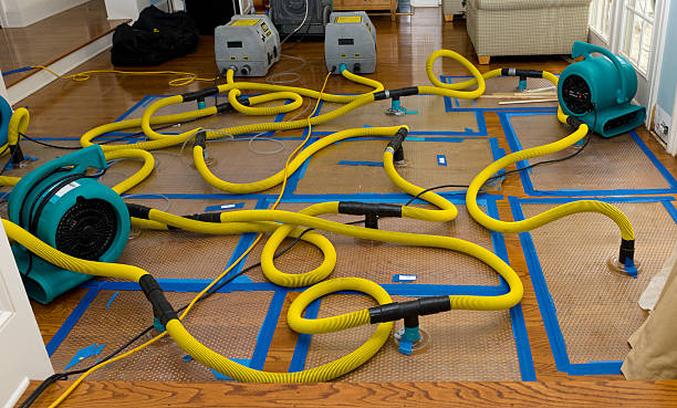 Professional Basement Flood Cleanup technician working in Perry, IA